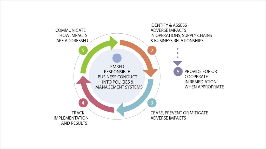 The 6 steps: 1. Anchoring RBC; 2. Identifying & assessing negative effects; 3. Eliminating, avoiding, or mitigating; 4. Following up; 5. Communicating; 6. Providing or cooperating in reparations.