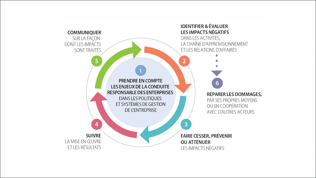 Les 6 étapes : 1. Ancrer les globules rouges ; 2. Identifier et évaluer les effets négatifs ; 3. Éliminer, éviter ou atténuer ; 4. Assurer le suivi ; 5. Communiquer ; 6. Fournir des réparations ou coopérer à leur exécution.