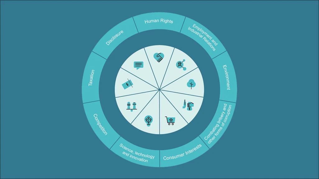 Topics arranged in a circle: Human rights; employment and relations between social partners; environment; combating bribery and other forms of corruption; consumer interests; science, technology and innovation; competition; taxation; disclosure of information.