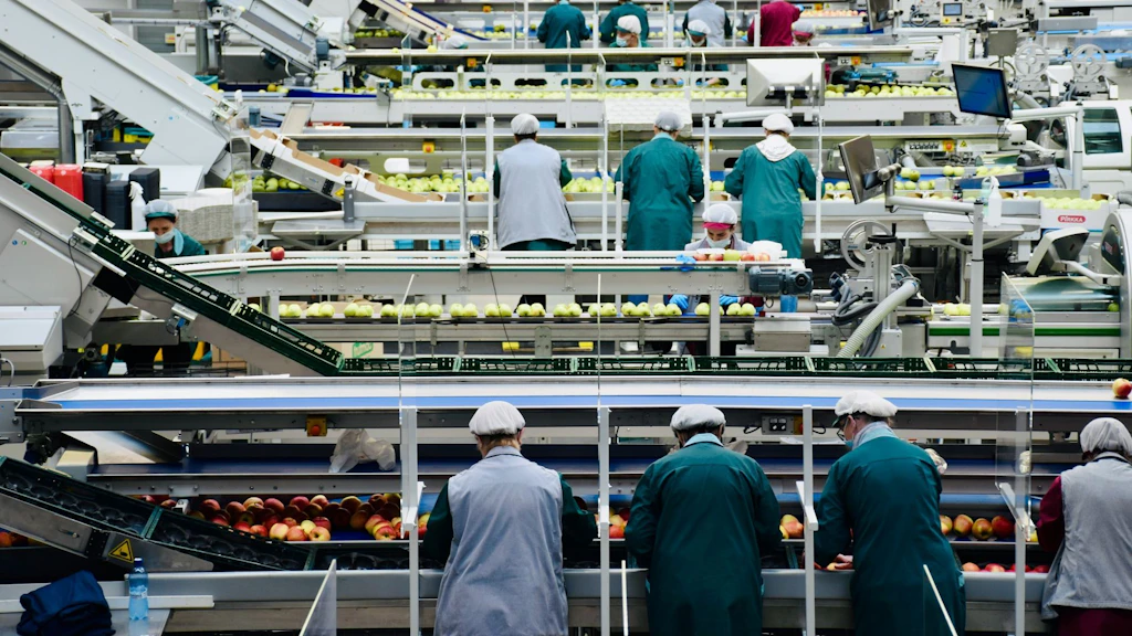 Usine agroalimentaire avec des ouvriers triant et emballant des pommes sur des chaînes de production automatisées.