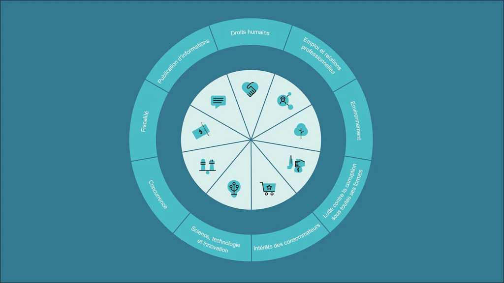 Thèmes disposés en cercle : Droits de l’homme ; emploi et relations entre partenaires sociaux ; environnement ; lutte contre la corruption et autres formes de corruption ; intérêts des consommateurs ; science, technologie et innovation ; concurrence ; fiscalité ; divulgation d’informations.