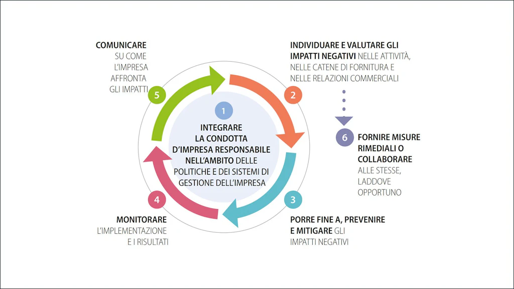 I 6 passaggi: 1. Ancoraggio del globulo rosso; 2. Identificazione e valutazione degli effetti negativi; 3. Eliminazione, evitazione o mitigazione; 4. Monitoraggio; 5. Comunicazione; 6. Fornitura o cooperazione nelle riparazioni.